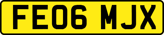 FE06MJX