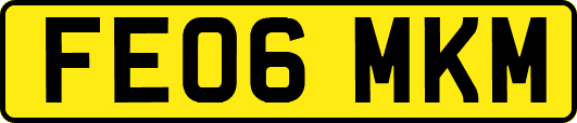 FE06MKM