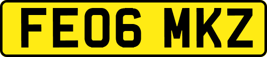 FE06MKZ