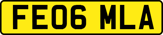 FE06MLA