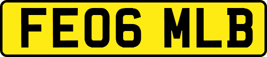 FE06MLB