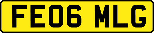 FE06MLG