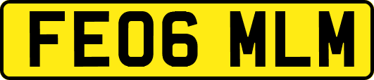 FE06MLM