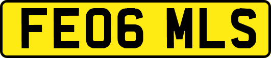 FE06MLS