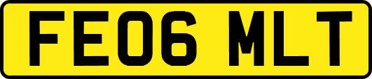 FE06MLT