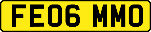 FE06MMO
