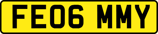 FE06MMY