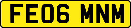 FE06MNM