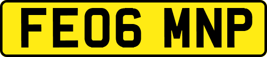 FE06MNP