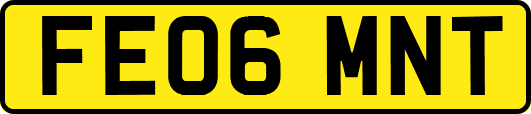 FE06MNT