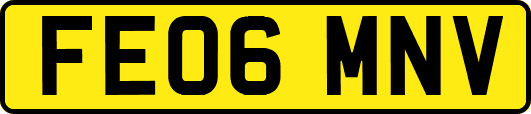 FE06MNV