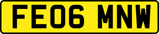 FE06MNW