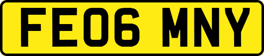 FE06MNY