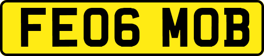 FE06MOB