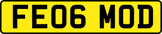 FE06MOD