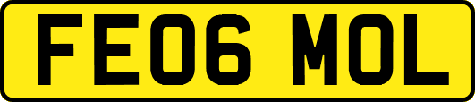 FE06MOL