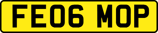 FE06MOP