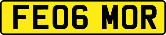 FE06MOR