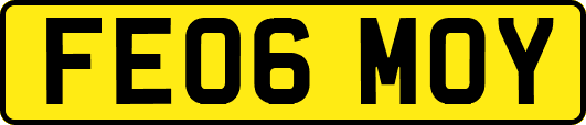 FE06MOY