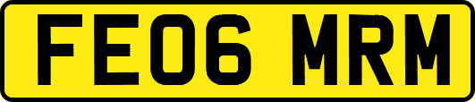 FE06MRM