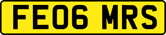 FE06MRS