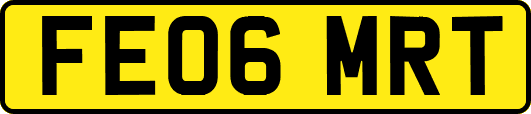 FE06MRT