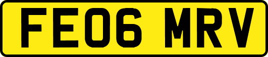 FE06MRV