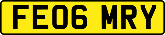 FE06MRY