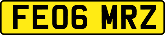 FE06MRZ