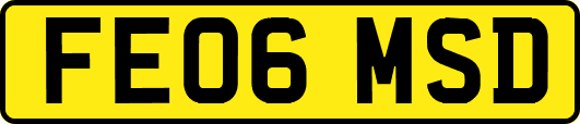 FE06MSD