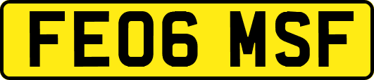 FE06MSF