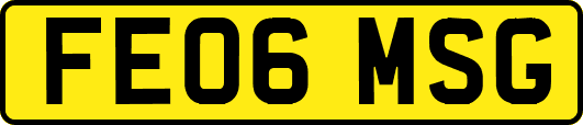 FE06MSG