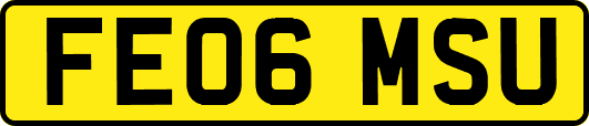 FE06MSU