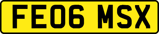 FE06MSX