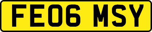FE06MSY