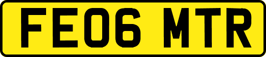 FE06MTR
