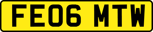 FE06MTW
