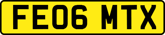 FE06MTX