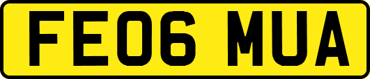 FE06MUA