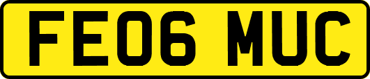 FE06MUC