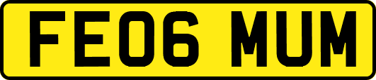 FE06MUM