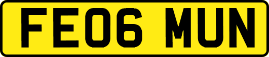 FE06MUN