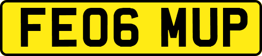 FE06MUP