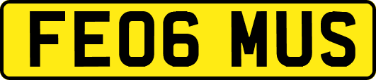 FE06MUS