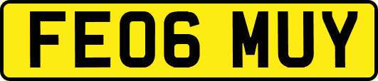 FE06MUY