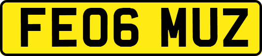 FE06MUZ