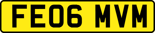 FE06MVM