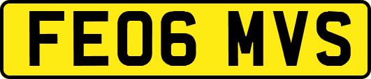 FE06MVS