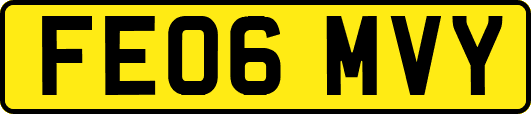 FE06MVY