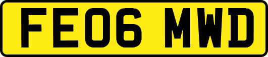 FE06MWD